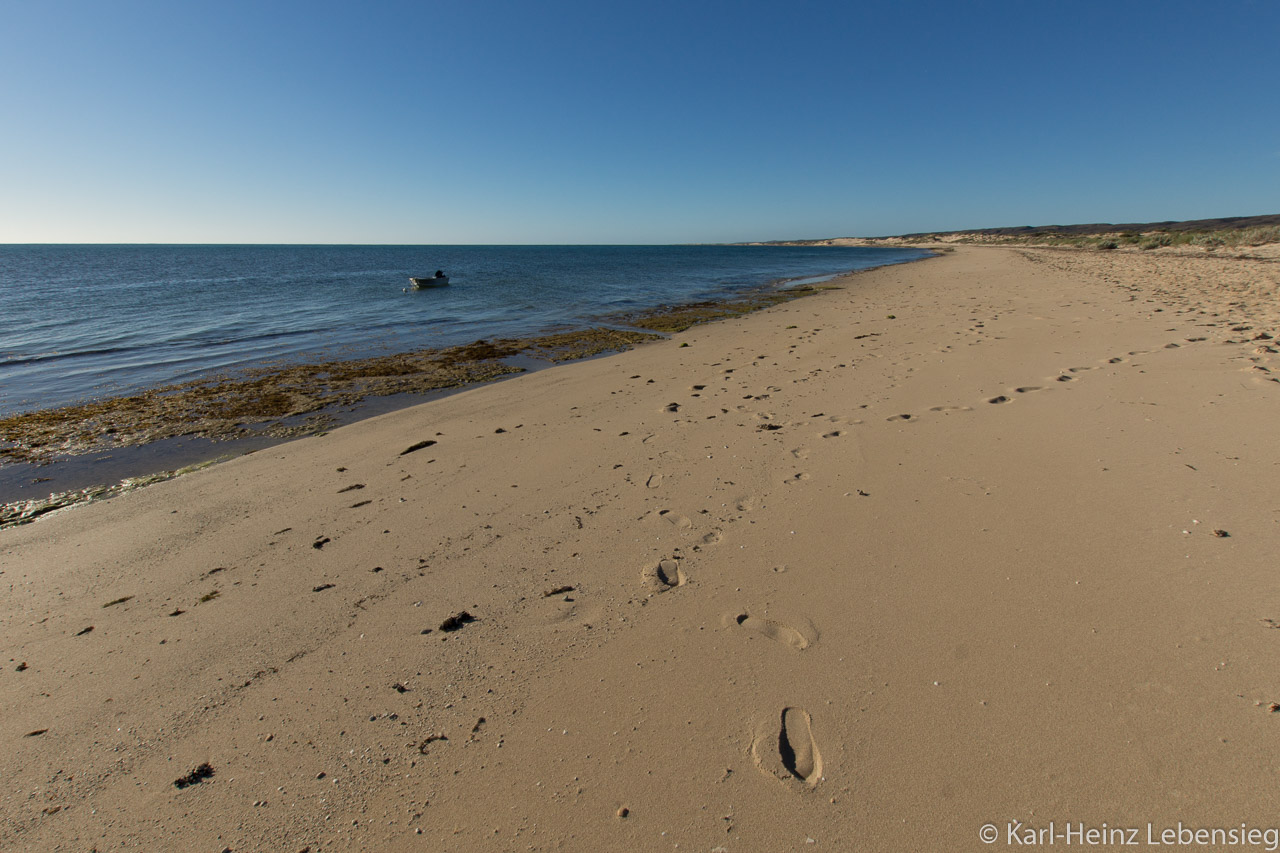 Yardie Creek