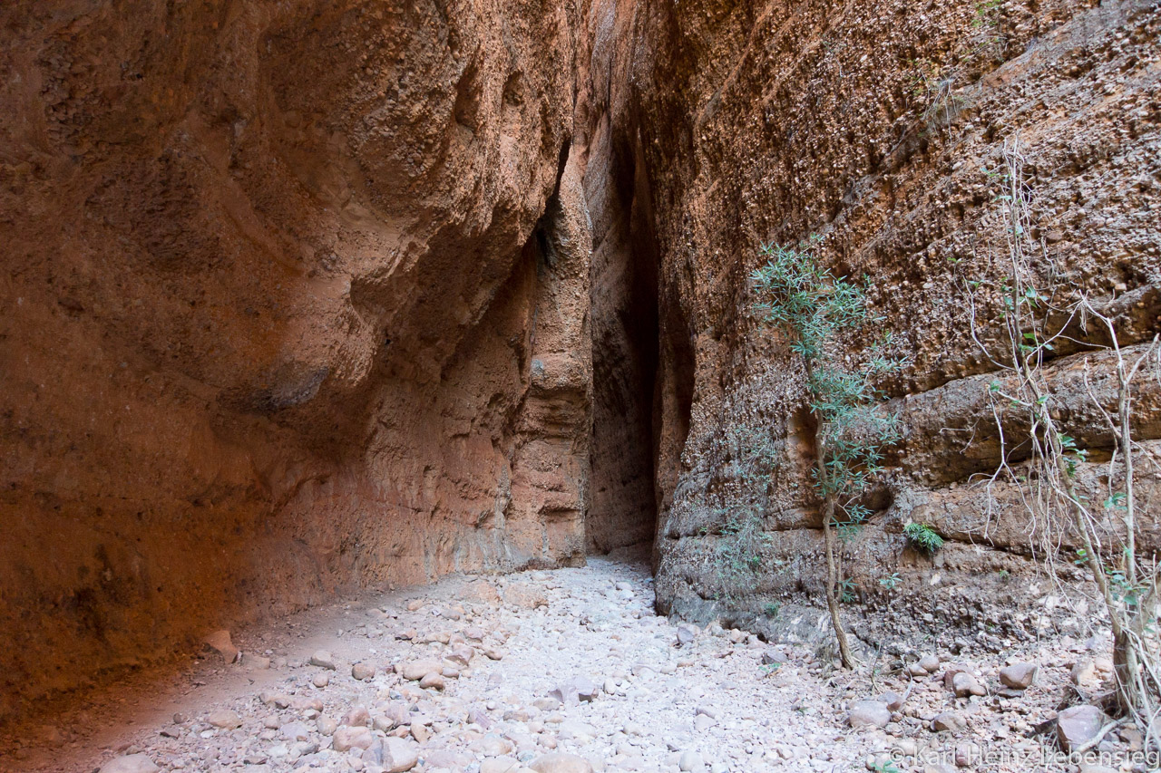 Echidna Chasm