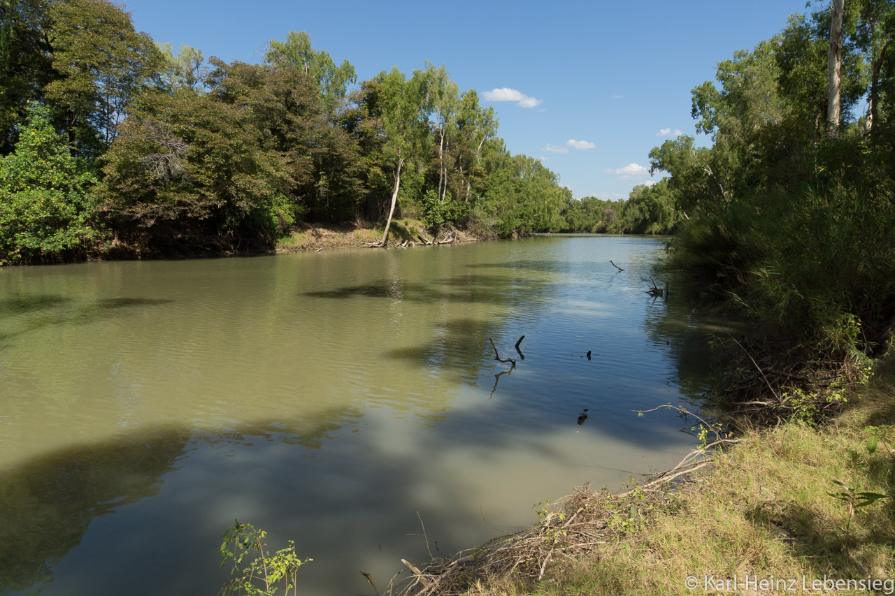 East Alligator River