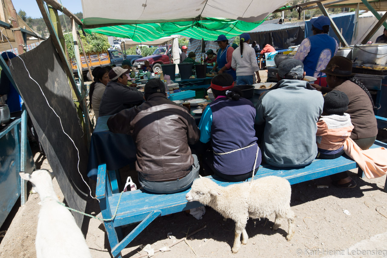 Tiermarkt in Saquisilí