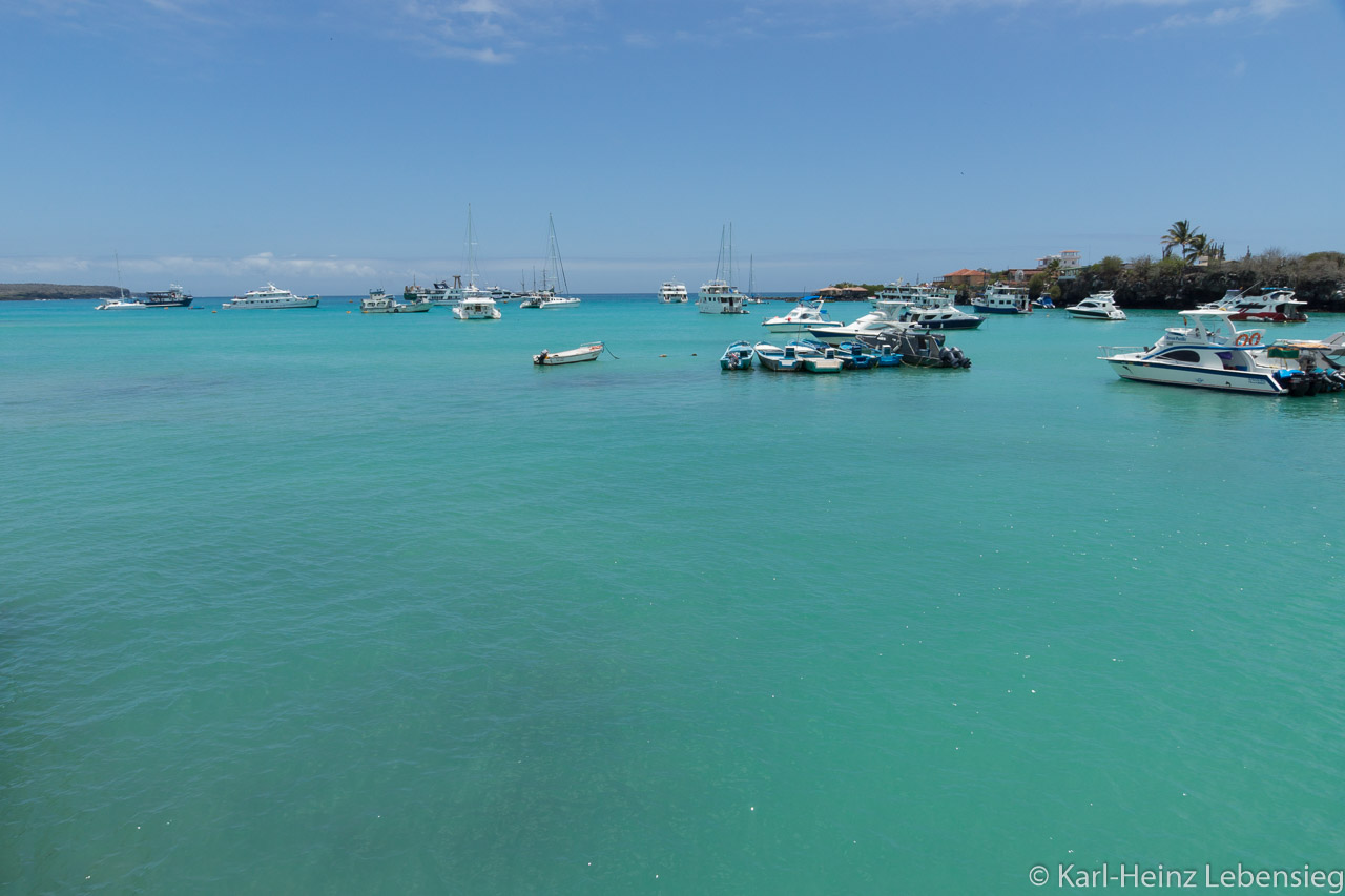 Puerto Ayora