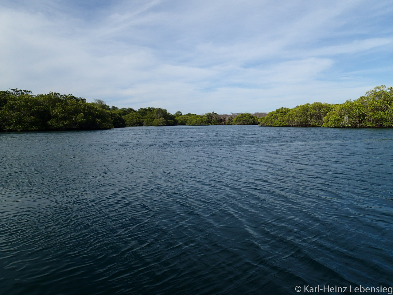 Mangroven-Lagune