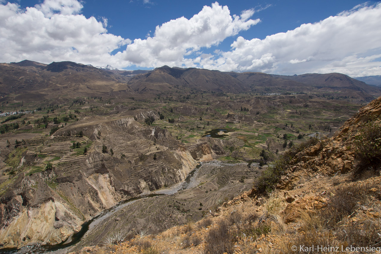 Cañon de Colca