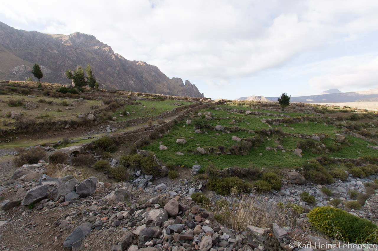 Camino Collawa