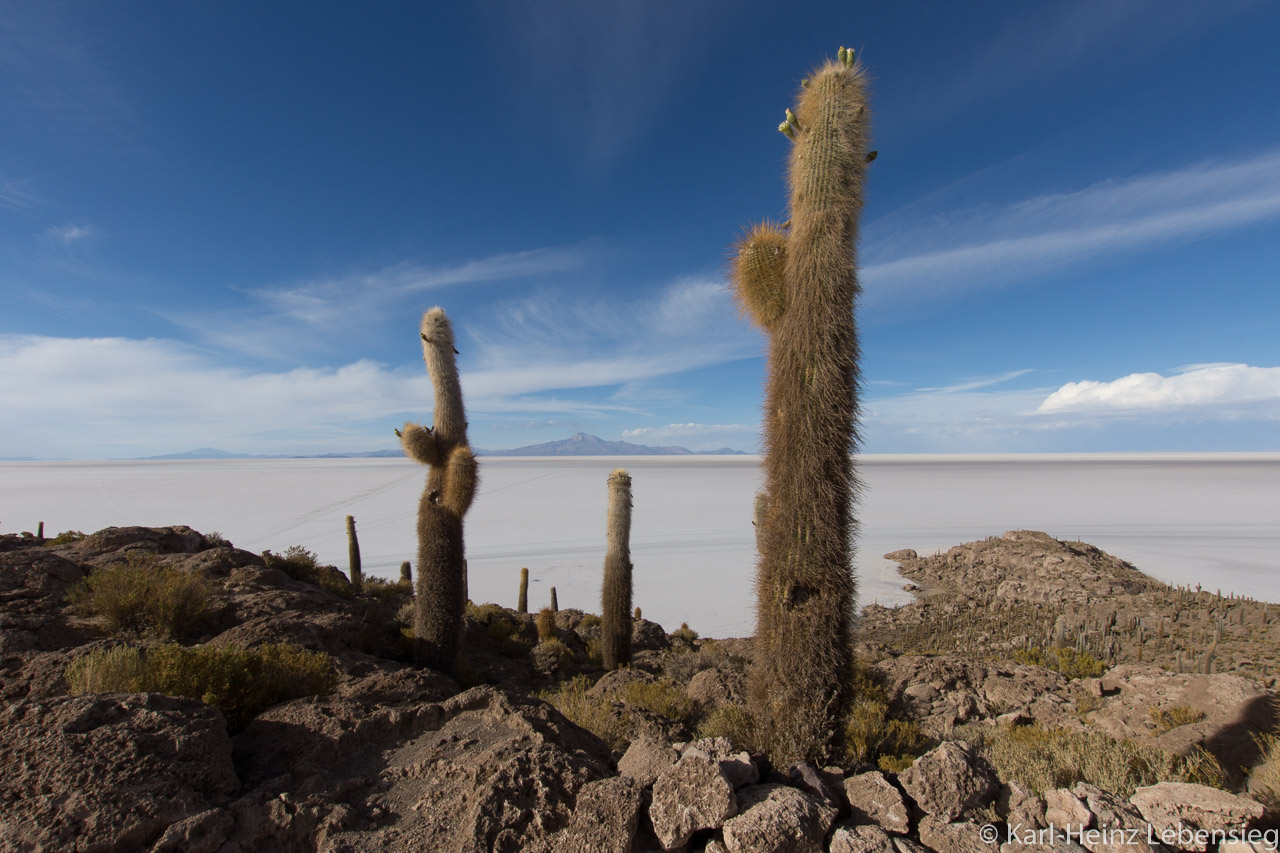 Isla Incahuasi