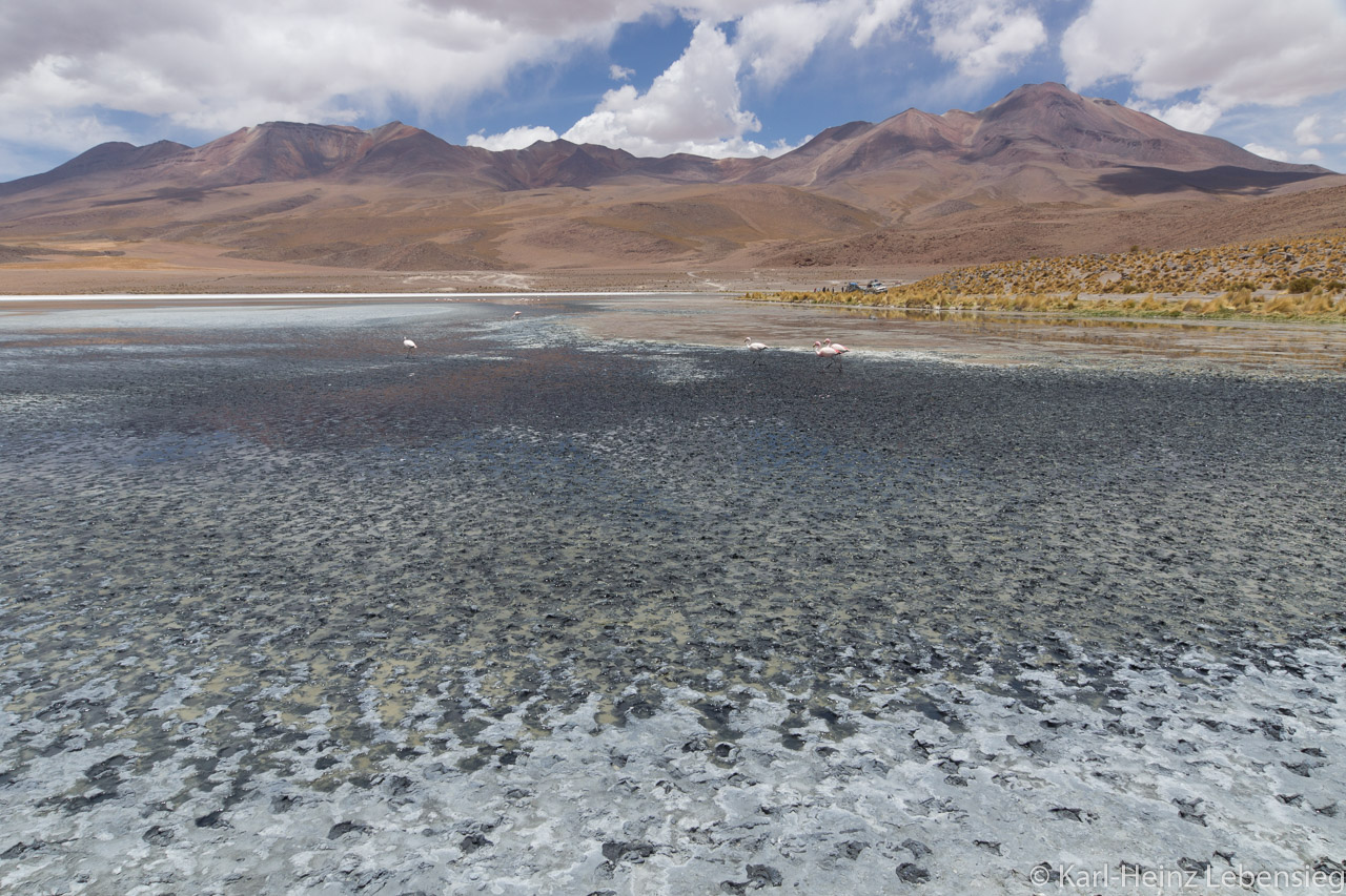 Laguna Cañapa