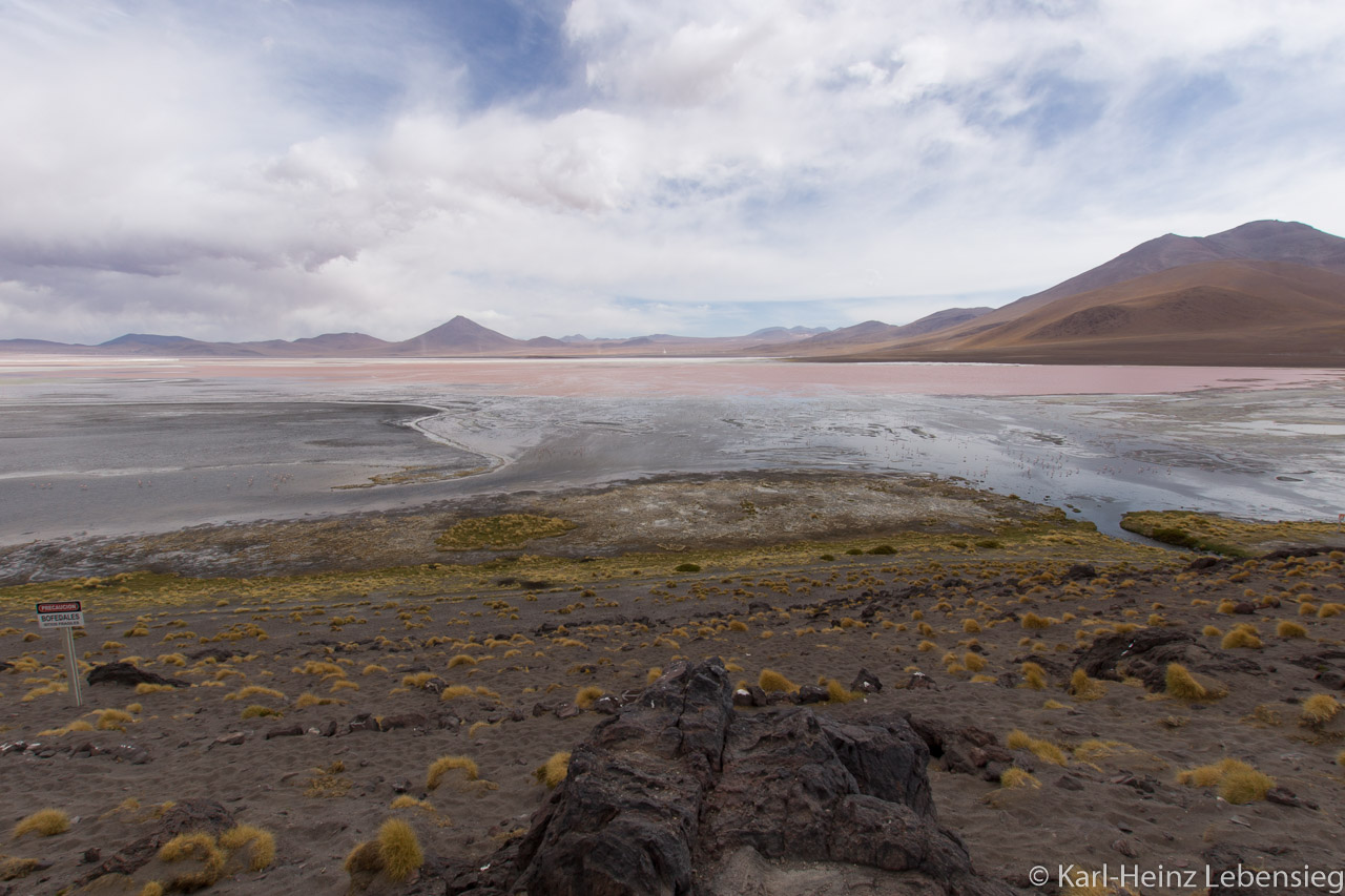 Laguna Colorada