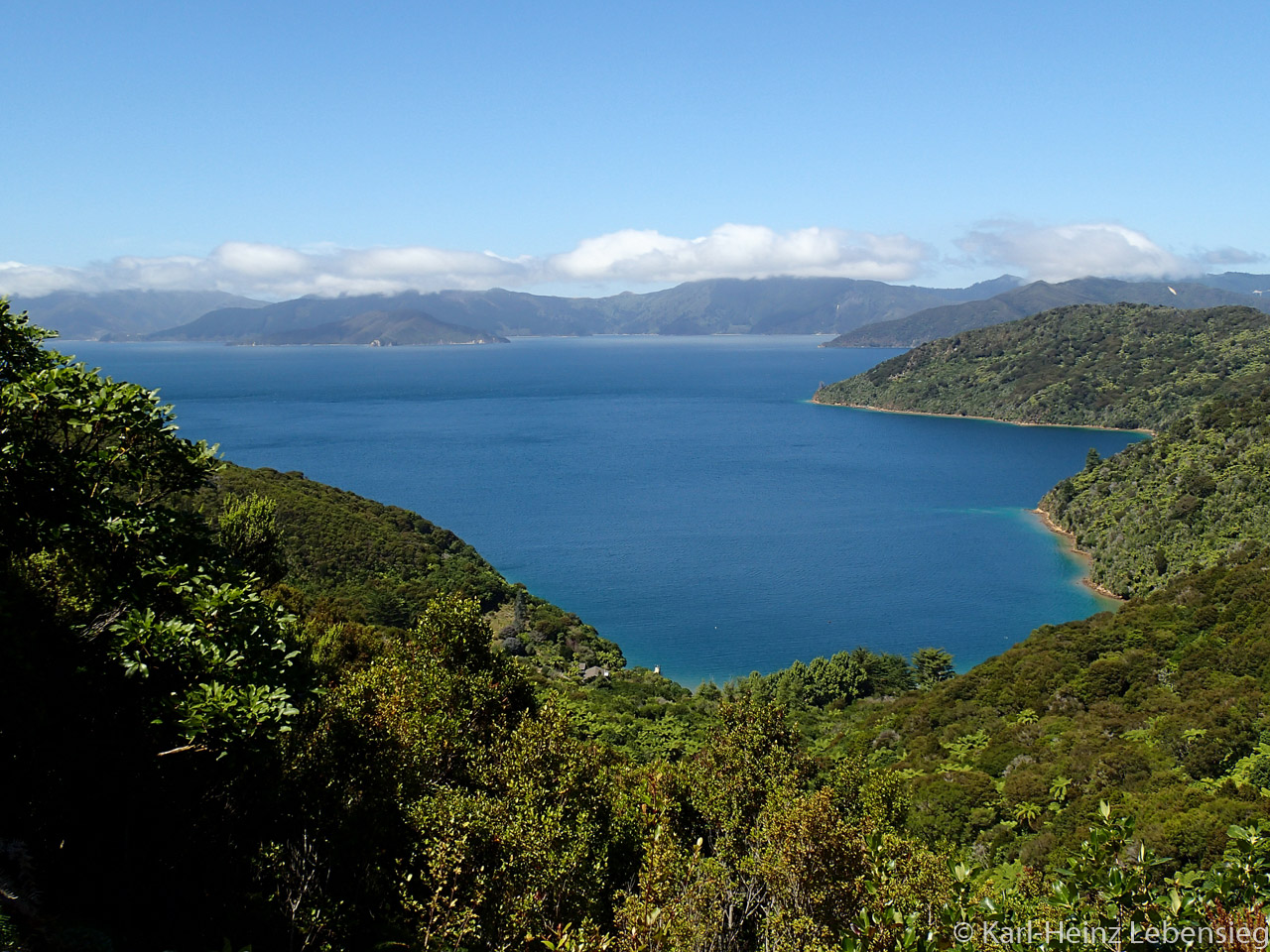 Queen Charlotte Track