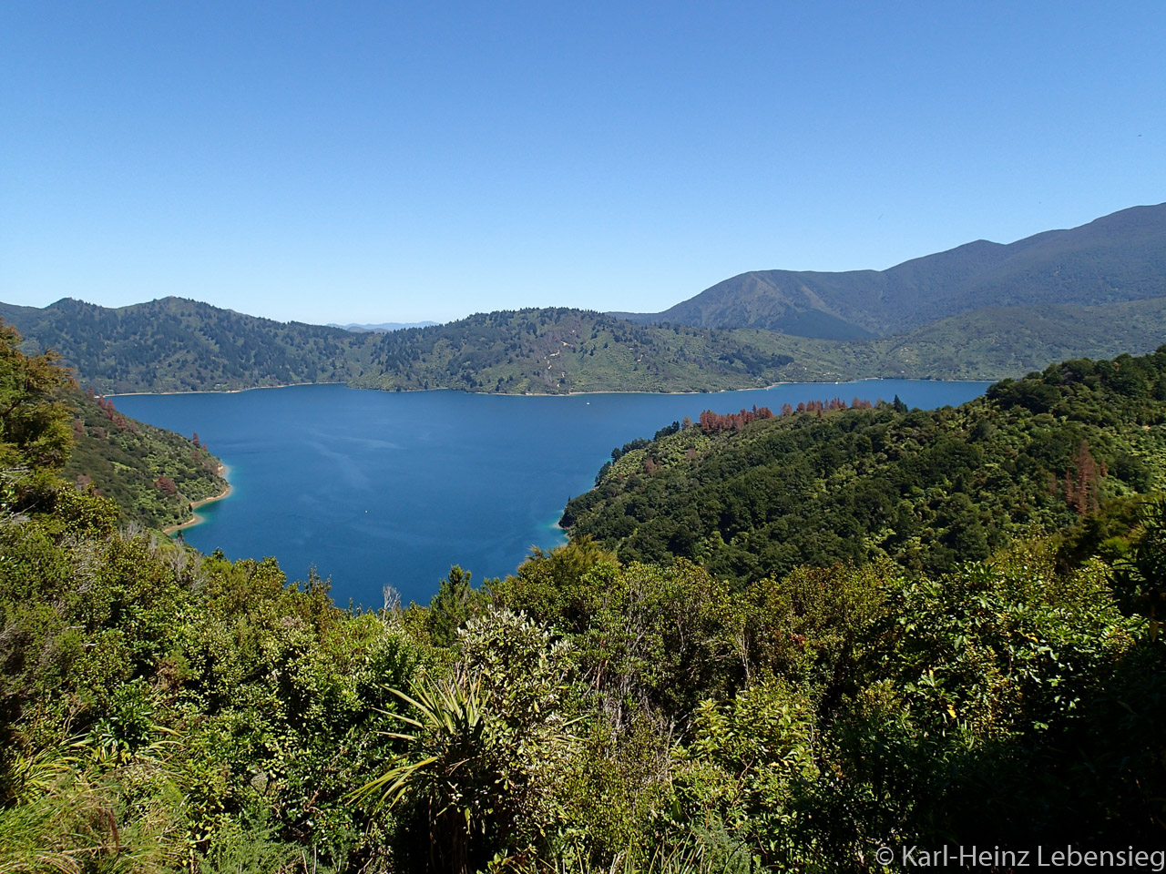 Queen Charlotte Track