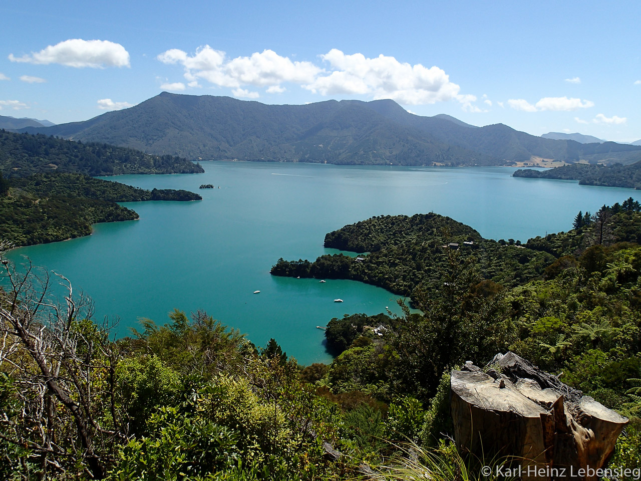 Queen Charlotte Track