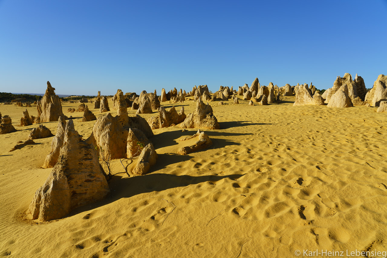 Nambung National Park