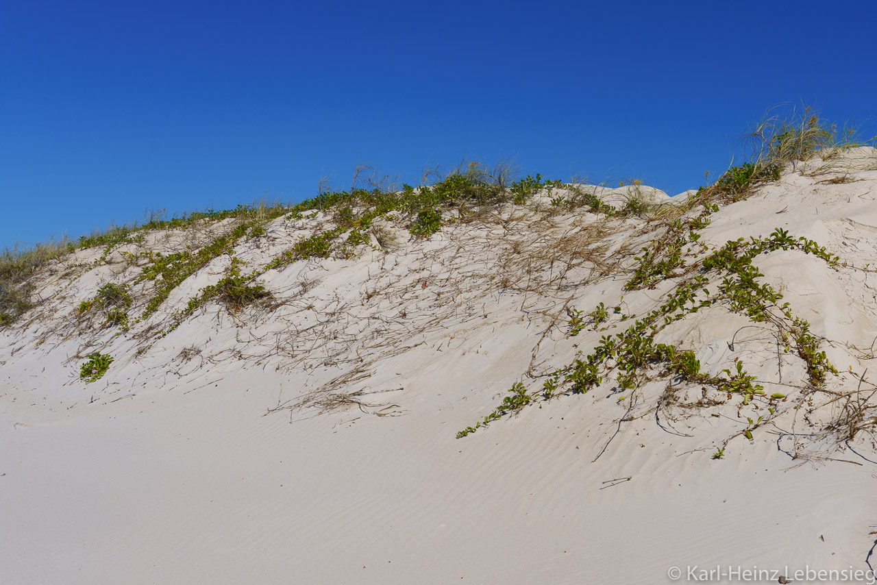 Cape Leveque