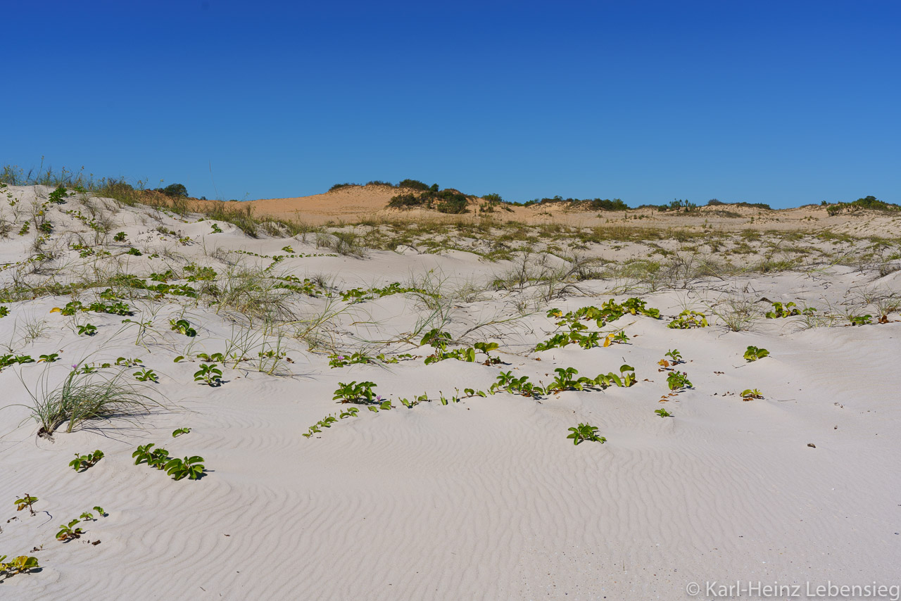 Cape Leveque