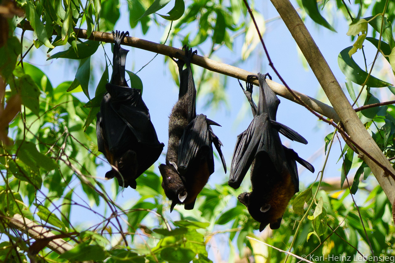 Nitmiluk National Park