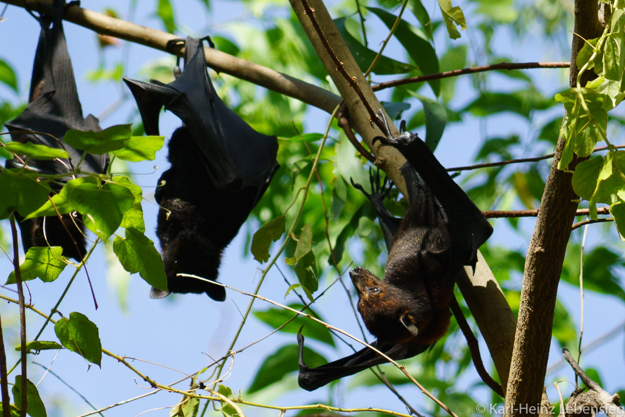 Nitmiluk National Park