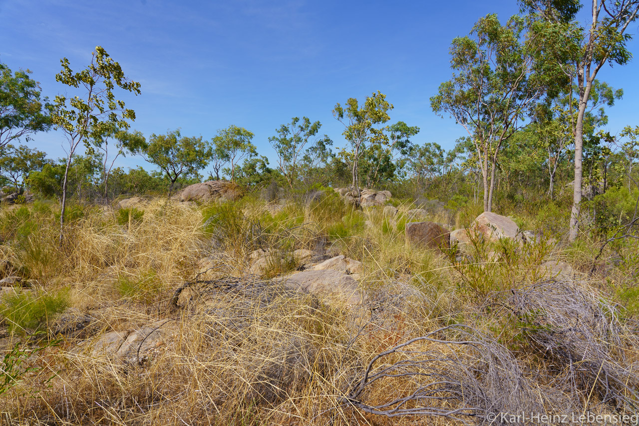 Nitmiluk National Park