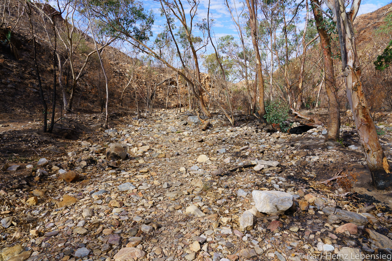 Larapinta Trail - Section 4