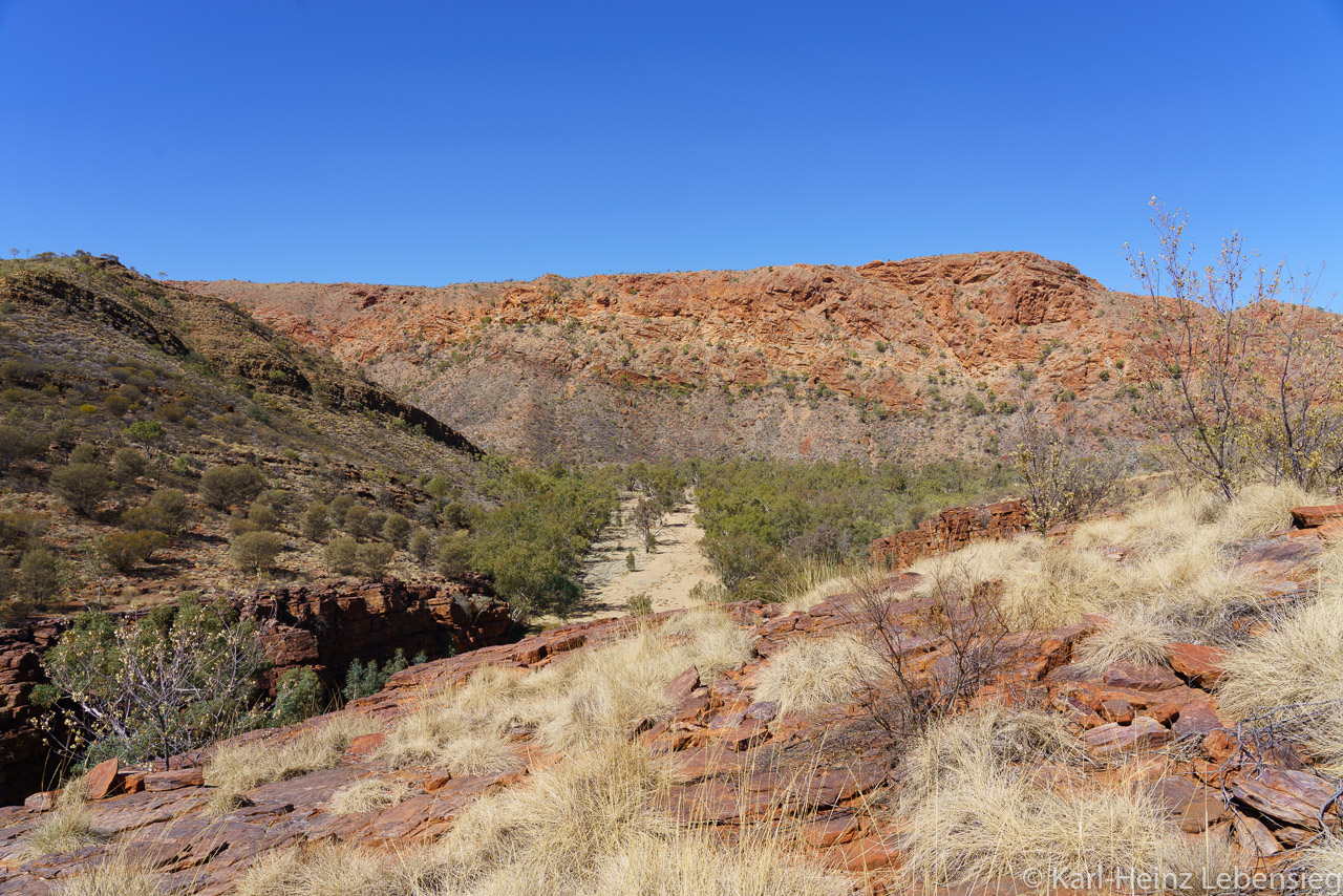 East MacDonnell Ranges - Trephina Gorge