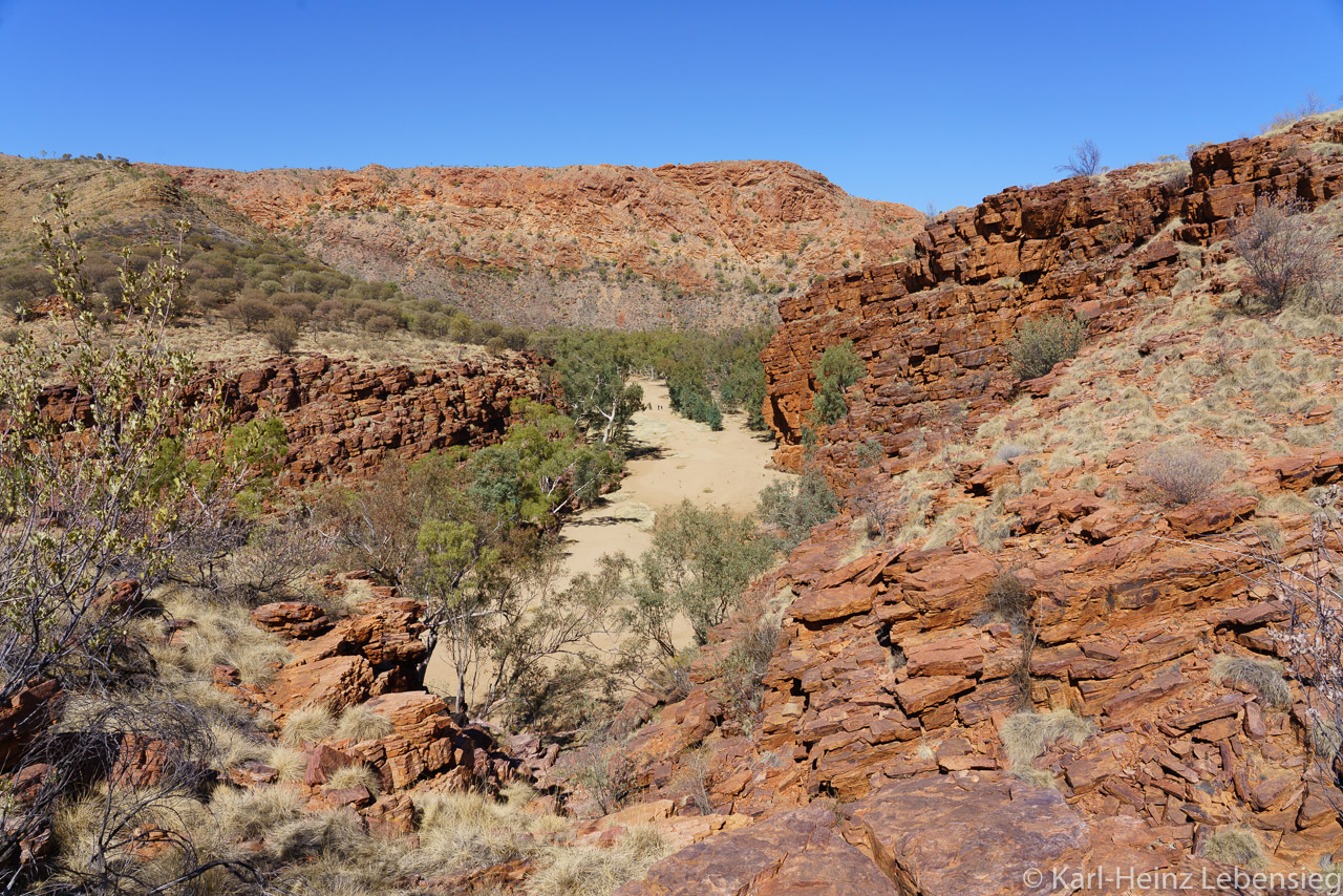 East MacDonnell Ranges - Trephina Gorge
