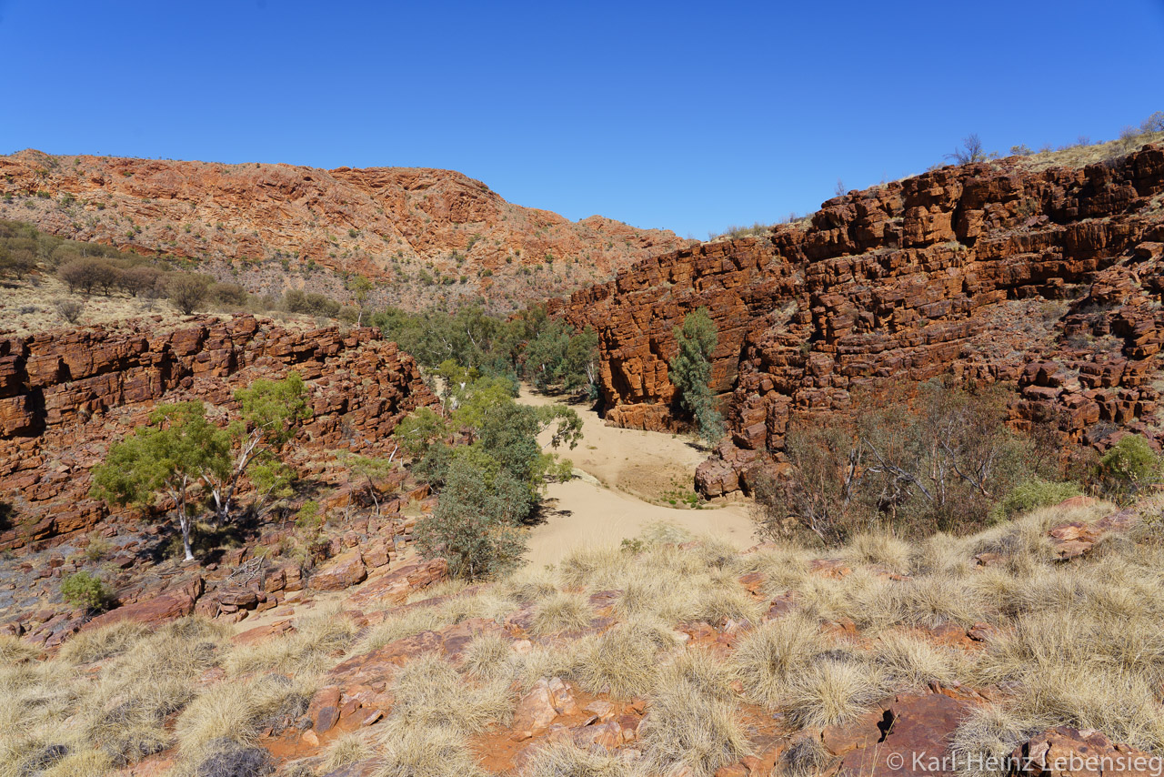 East MacDonnell Ranges - Trephina Gorge