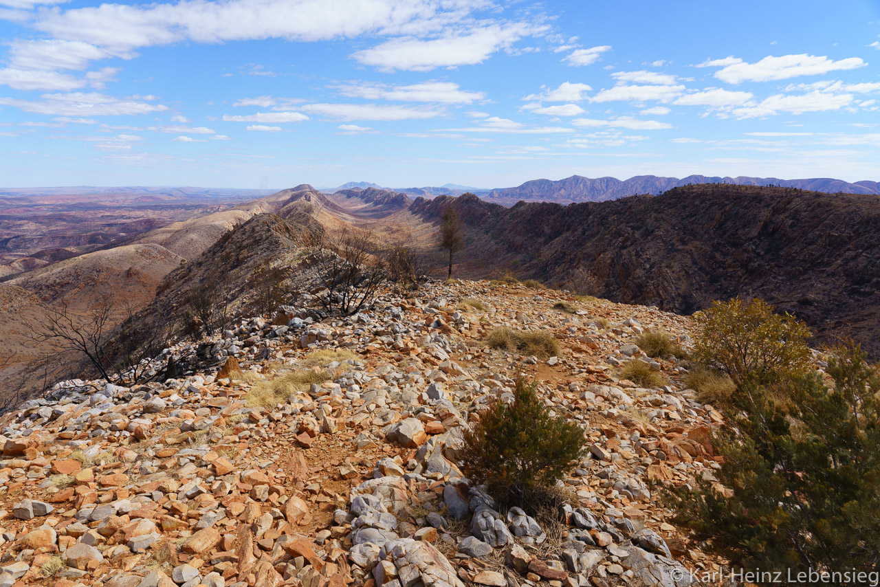 Larapinta Trail - Section 8