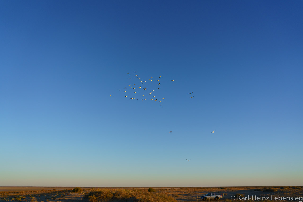 Oodnadatta Track - Kati-Thanda Lake Eyre National Park