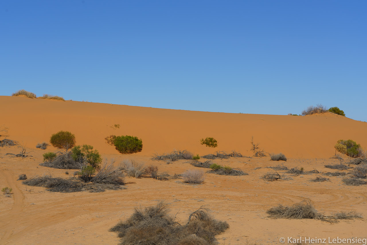 Oodnadatta Track