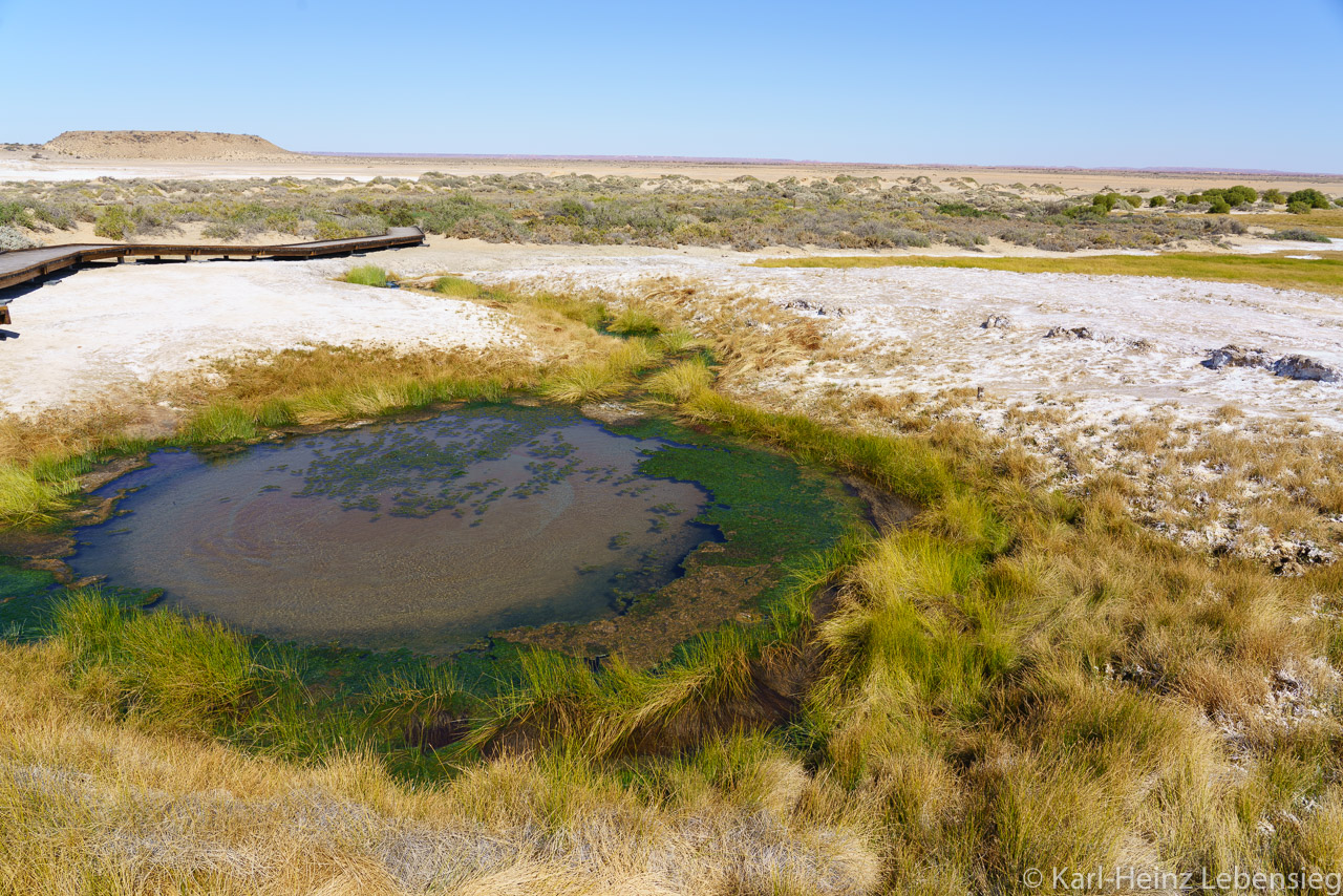 Oodnadatta Track - Wabma Kadarbu Mound Springs Conservation Park - The Bubbler