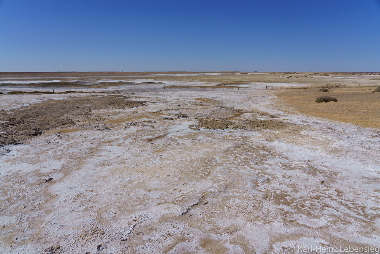 Oodnadatta Track - Wabma Kadarbu Mound Springs Conservation Park