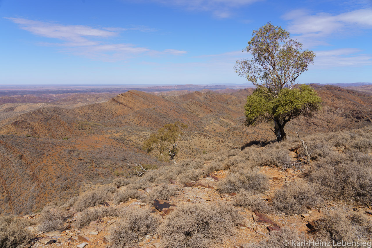 Flinders Ranges - Gammon Ranges NP - Oppaminda Nudlamutana Trail